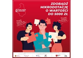 Ilustracja do artykułu mikrodotacjemin.jpg