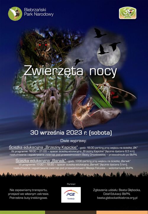 Plakat_Zwierzęta Nocy .jpg