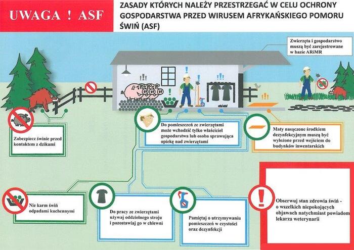 zasady-ktorych-nalezy-przestrzegac-w-celu-ochrony-gospodarstwa-przed-wirusem-asf.jpg