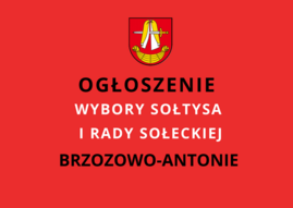 ogłoszenie Brzozowo-Antonie.png