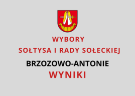 Wyniki Brzozowo-Antonie1.png