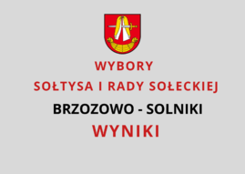 Wyniki Brzozowo-Solniki.png