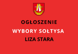 Wybory sołtysa Liza Stara (500 x 350 px).png