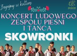 Koncert zespołu Skowronkimin.jpg